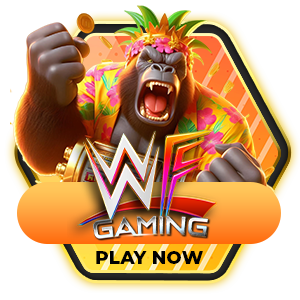 WF Gaming